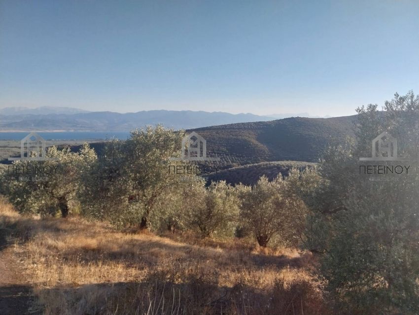 Αγροτεμάχιο 23στρ - ΜΠ1810