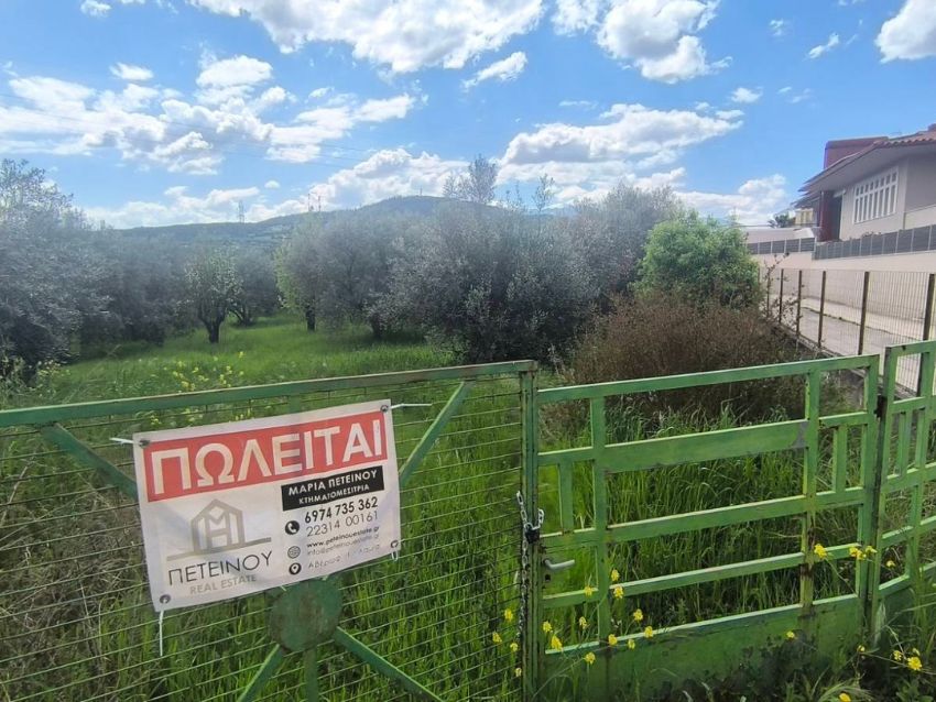 Αγροτεμάχιο 4.041τμ - ΜΠ1813