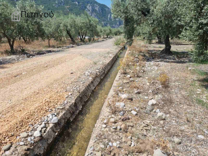 Αγροτεμάχιο 8στρεμ - ΜΠ1928