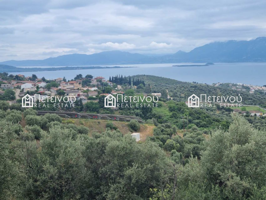  Αγροτεμάχιο 18στρεμ - ΜΠ2015