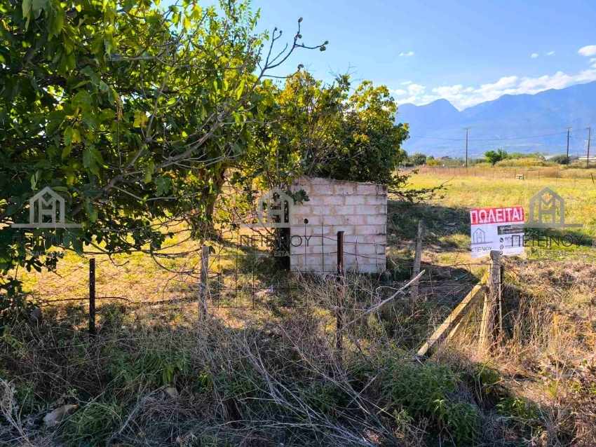 Οικόπεδο 1004τμ - ΜΠ9035