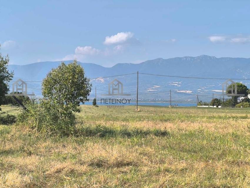 Οικόπεδο 3700τμ - ΜΠ9037