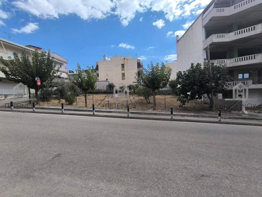 Οικόπεδο 455τμ - ΜΠ9807