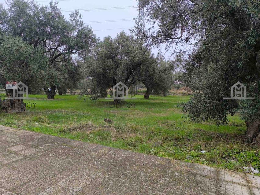 Οικόπεδο 1800τμ - ΜΠ9808